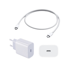 Google Charger 20W