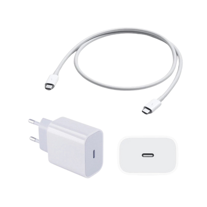 Google Charger 20W