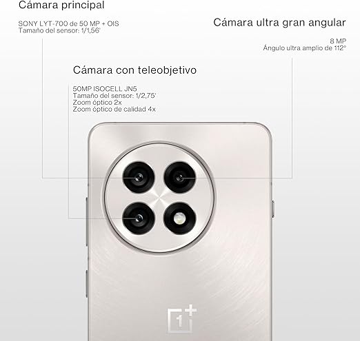 Oneplus 13R