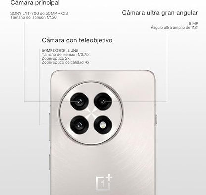 Oneplus 13R