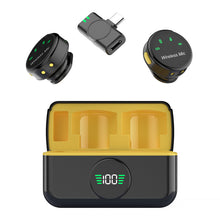 PIVA WM-02 Wireless Microphone