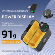 PIVA WM-02 Wireless Microphone